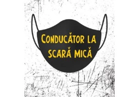 Conducator la scara mica