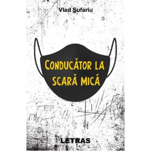 Conducator la scara mica
