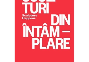 Sculpturi din intamplare. Sculpture Happens - Ioana Ciocan