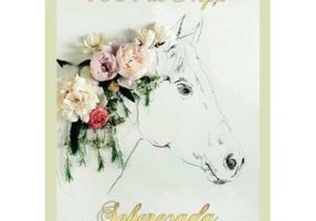 1001 de Nopti Seherezada - Dalina Aurore Ulea