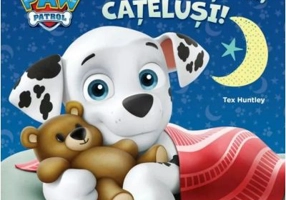 Patrula Catelusilor. Somn usor, catelusi!