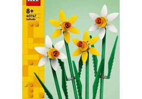 LEGO Classic. Narcise 40747, 216 piese