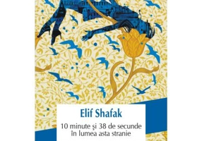 10 minute si 38 de secunde in lumea asta stranie - Elif Shafak