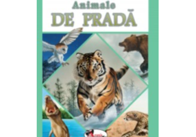 Animale de prada