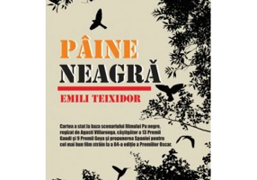 Paine neagra - Emili Teixidor