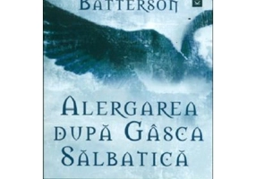 Alergarea dupa gasca salbatica - Mark Batterson