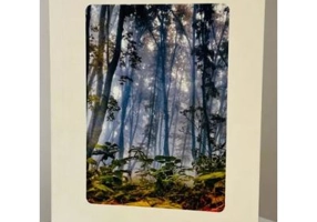 Sketchbook Victoria Viprada. Padure