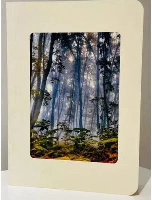 Sketchbook Victoria Viprada. Padure