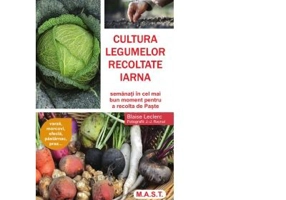 Cultura legumelor recoltate iarna. Semanati in cel mai bun moment pentru a recolta de Paste