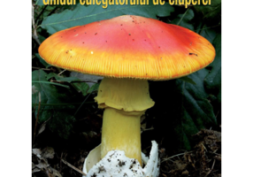 Ghidul culegatorului de ciuperci. 555 de specii - Vasas Gizella, Locsmandi Csaba