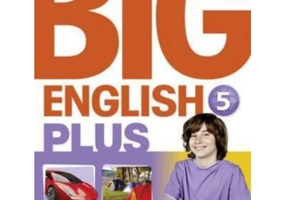 Big English Plus 5 Activity Book - Mario Herrera