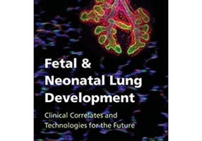 Fetal and Neonatal Lung Development: Clinical Correlates and Technologies for the Future - Alan H. Jobe, Jeffrey A. Whitsett, Steven H. Abman