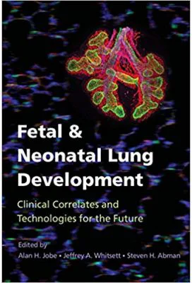 Fetal and Neonatal Lung Development: Clinical Correlates and Technologies for the Future - Alan H. Jobe, Jeffrey A. Whitsett, Steven H. Abman