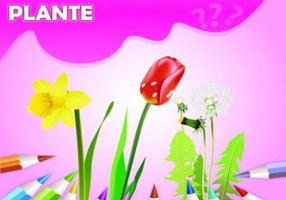 Carte de colorat cu ghicitori. Uneste punctele. Plante - Adina Grigore