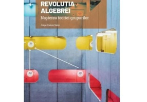 Volumul 13. Mari idei ale matematicii. Revolutia algebrei. Nasterea teoriei grupurilor - Jorge Calero Sanz