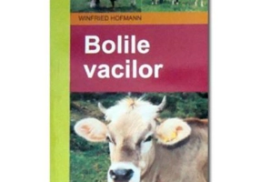 Bolile vacilor - Winfried Hofmann