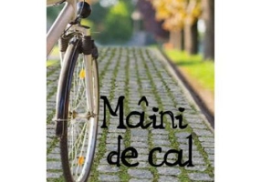 Maini de Cal - Daniel Galera