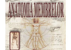 Anatomia membrelor - Ludovic Seres-Sturm, Klara Brinzaniuc, Cosmin Nicolescu, Remus Sipos