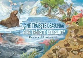 Cine traieste deasupra? Cine traieste dedesubt?