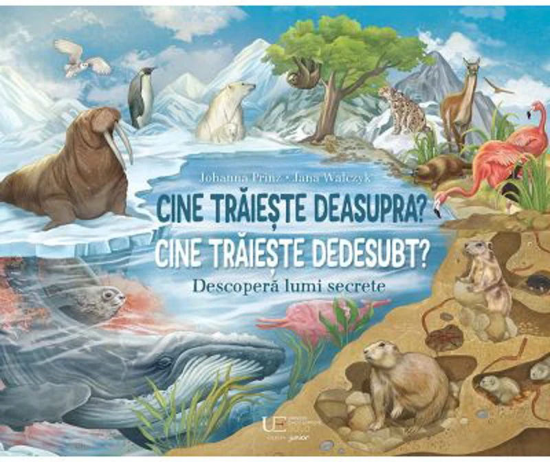 Cine traieste deasupra? Cine traieste dedesubt?