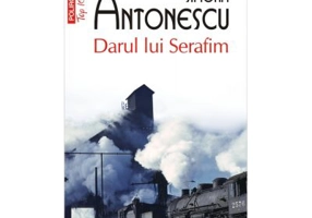 Darul lui Serafim - Simona Antonescu