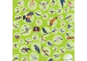 Plansa. 50 de pasari - Nelson Verlag