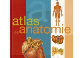 Atlas de anatomie