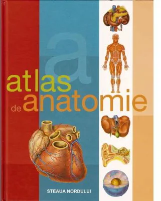 Atlas de anatomie