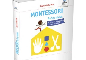 Montessori pentru parinti. Montessori la tine acasa. 80 de jocuri pedagogice usor de realizat