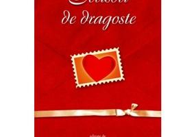 Scrisori de dragoste - Joshua Knelman, Rosalind Porter