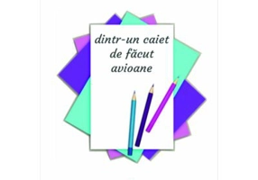 Dintr-un caiet de facut avioane - Lorena Stuparu