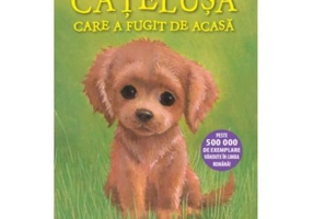 Catelusa care a fugit de acasa (Nivelul 6)