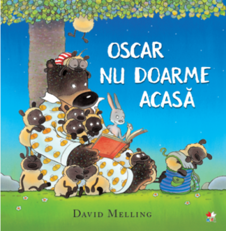 Oscar nu doarme acasa
