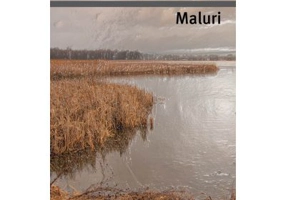 Maluri - Tudor Cretu