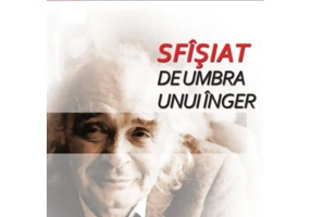 Sfîsiat de umbra unui inger - Emil Brumaru