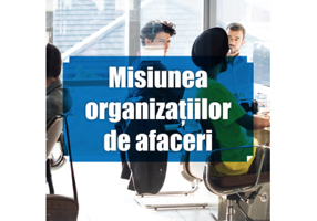 Misiunea organizatiilor de afaceri - Marius-Costel Esi