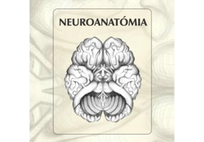 Neuroanatomia - Seres-Sturm Lajos, Pavai Zoltan, Seres-Sturm Magda, Denes Lorand