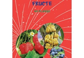 Fructe. 40 planse