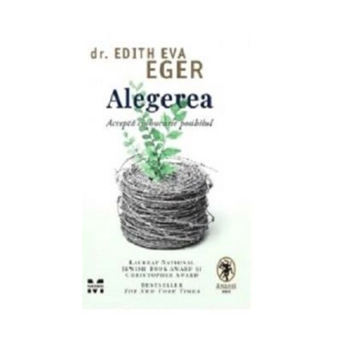 Alegerea. Accepta cu bucurie posibilul