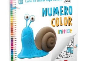 Numero Color. Initiat. Carte de colorat dupa numere