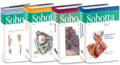 Atlas de anatomie a omului Sobotta, set 3 volume