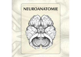 Neuroanatomie - Seres-Sturm Ludovic, Klara Brinzaniuc, Pavai Zoltan, Seres-Sturm Magda