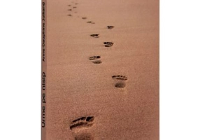 Urme pe nisip. Traducere din limba franceza de Mihaela Cojocariu - Anne-Dauphine Julliand