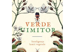 Verde uimitor