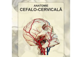 Anatomie cefalo-cervicala - Ludovic Seres-Sturm, Zoltan Pavai, Remus Sipos