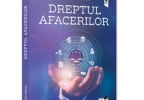 Dreptul afacerilor - Ovidiu Maican