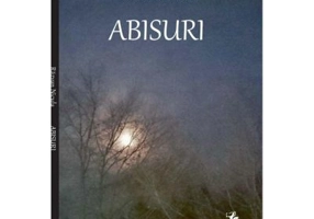 Abisuri - Razvan Nicula