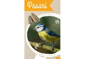 Micul biolog. Pasari - Anita van Saan