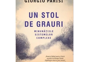 Un stol de grauri. Minunatiile sistemelor complexe - Giorgio Parisi