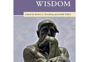 The Cambridge Handbook of Wisdom - Robert J. Sternberg, Judith Gluck